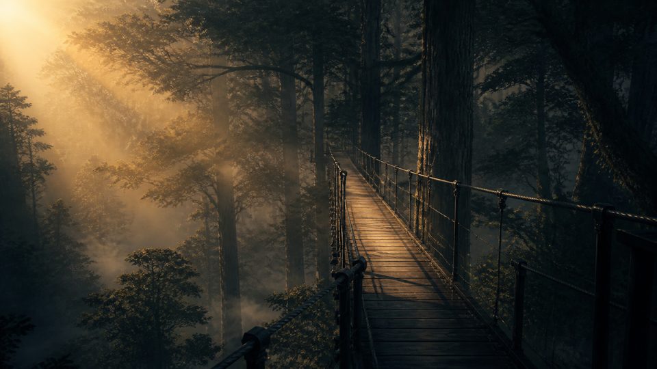 The Understory — Agent X case scene