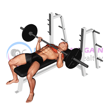 Barbell Bench Press — exercise demonstration