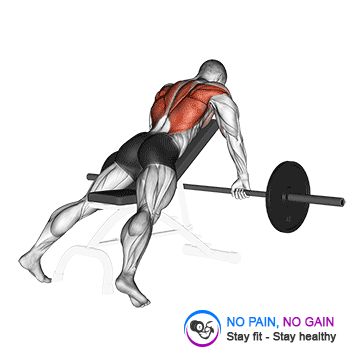 Barbell Incline Row Rack