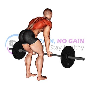 Barbell Reverse Grip Bent Over Row Back Fix