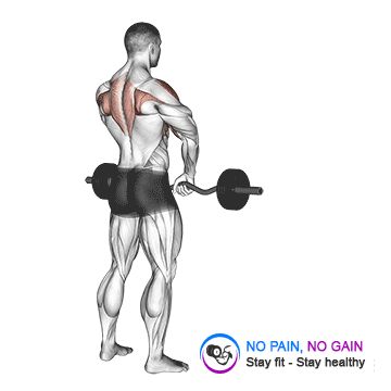 Barbell Upright Row shoulder