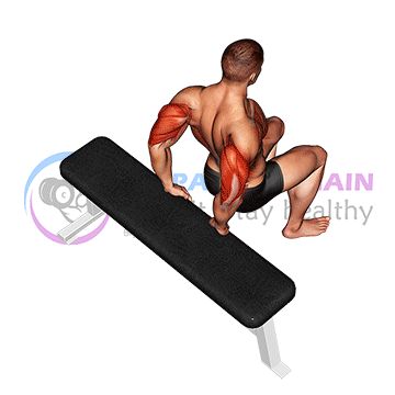 Bench Dip (knees bent)