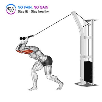 Cable High Pulley Overhead Tricep Extension