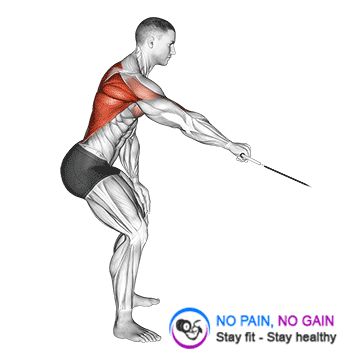 Cable Palm Rotational Row
