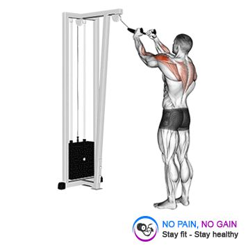 Cable Rear Delt Row with rope
