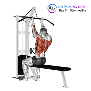 Cable Reverse Grip Straight Back Seated High Row — exercise demonstration