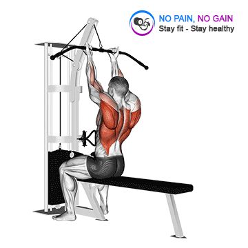 Cable Reverse Grip Straight Back Seated High Row