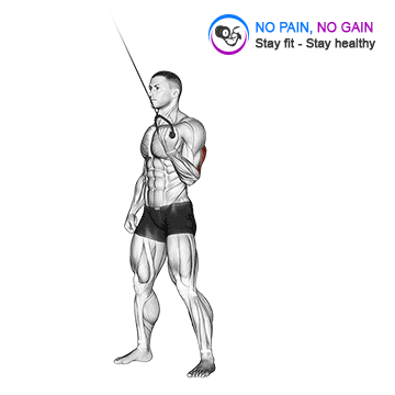 Cable Standing One Arm Triceps Extension — exercise demonstration