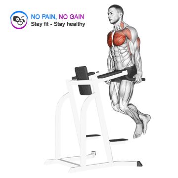 Chest Dip