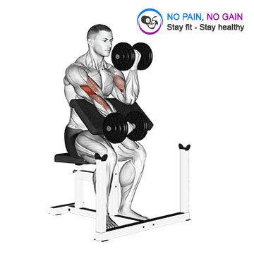 Dumbbell Alternate Preacher Curl