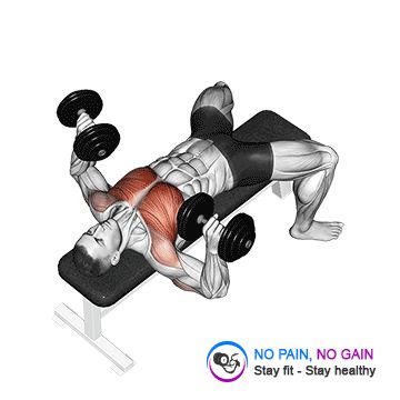 Dumbbell Bench Press