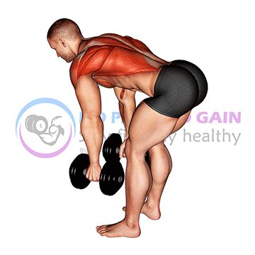 Dumbbell Bent Over Row Back Fix