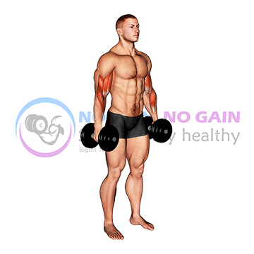Dumbbell Biceps Curl — exercise demonstration