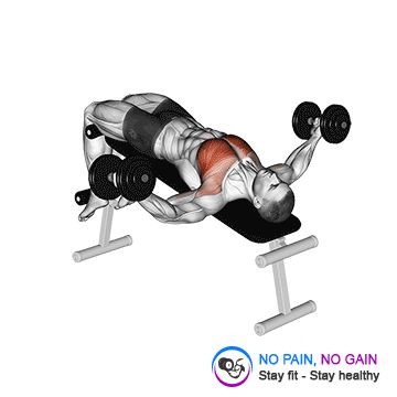 Dumbbell Decline Fly