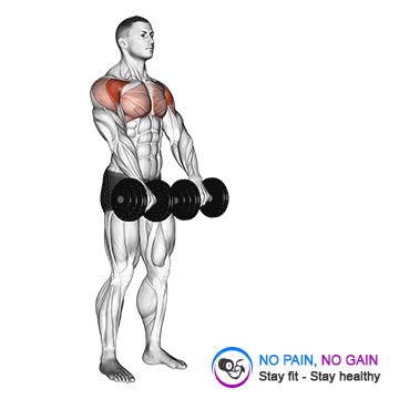 Dumbbell Front Raise