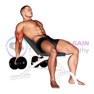 Dumbbell Incline Biceps Curl