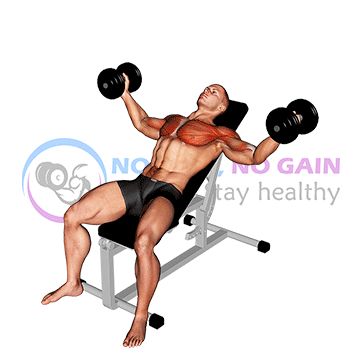 Dumbbell Incline Fly