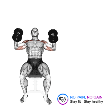 Dumbbell Incline Hammer Press — exercise demonstration