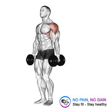 Dumbbell Lateral Raise shoulder