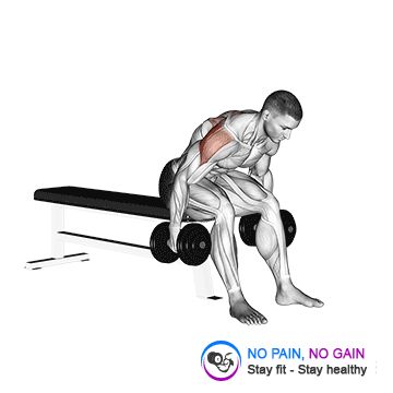 Dumbbell Rear Fly