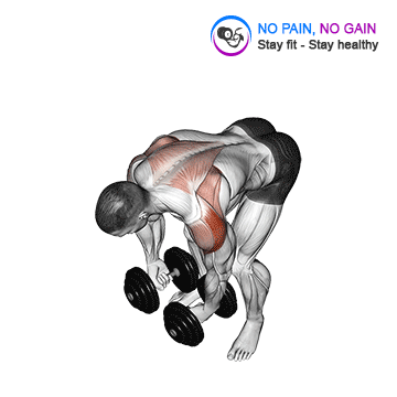 Dumbbell Rear Lateral Raise — exercise demonstration