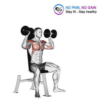 Dumbbell Seated Shoulder Press