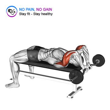 EZ Bar Lying Close Grip Triceps Extension Behind Head