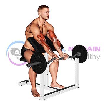 EZ Barbell Close Grip Preacher Curl