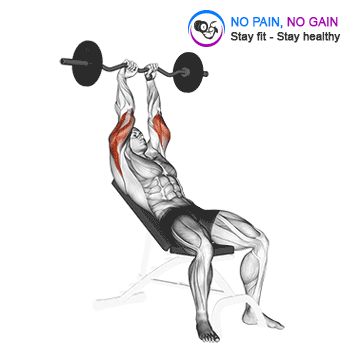 EZ Barbell Incline Triceps Extension
