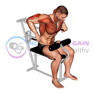 Lever Overhand Triceps Dip