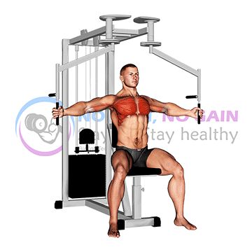 Lever Seated Fly