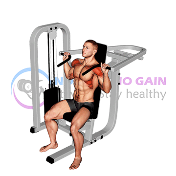 Lever Seated Shoulder Press — exercise demonstration