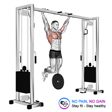 Weighted Pull Up — exercise demonstration