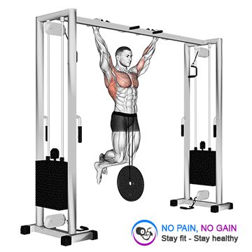 Weighted Pull Up